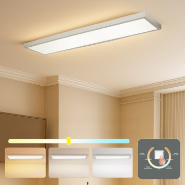 Brilagi - Plafoniera LED per bagno FRAME 50W 230V 3000/4000/6000K 120x30 cm IP44 argento