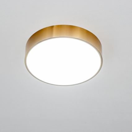 Brilagi - Plafoniera da bagno POOL LED/24W/230V 3000/4000/5500K diam. 30 cm IP54 bronzo