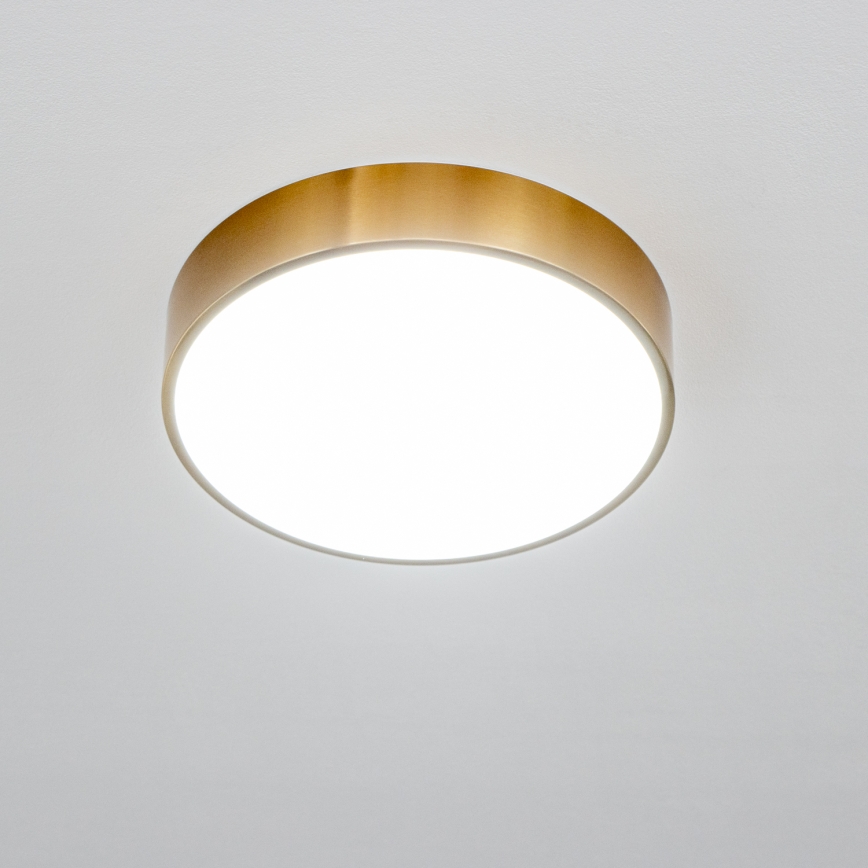 Brilagi - Plafoniera da bagno POOL LED/24W/230V 3000/4000/5500K diam. 30 cm IP54 bronzo