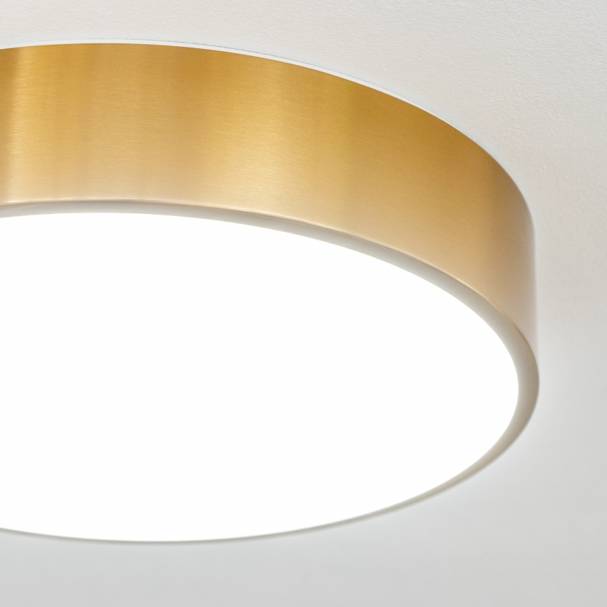 Brilagi - Plafoniera da bagno POOL LED/24W/230V 3000/4000/5500K diam. 30 cm IP54 bronzo