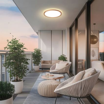 Brilagi - Plafoniera da bagno ULTRA SLIM LED/24W/230V Ø 42 cm oro rosa IP54