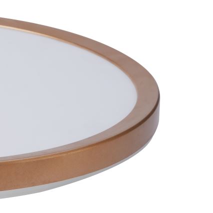 Brilagi - Plafoniera da bagno ULTRA SLIM LED/24W/230V Ø 42 cm oro rosa IP54