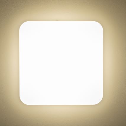 Brilagi - Plafoniera LED PLAIN LED/24W/230V 3000K