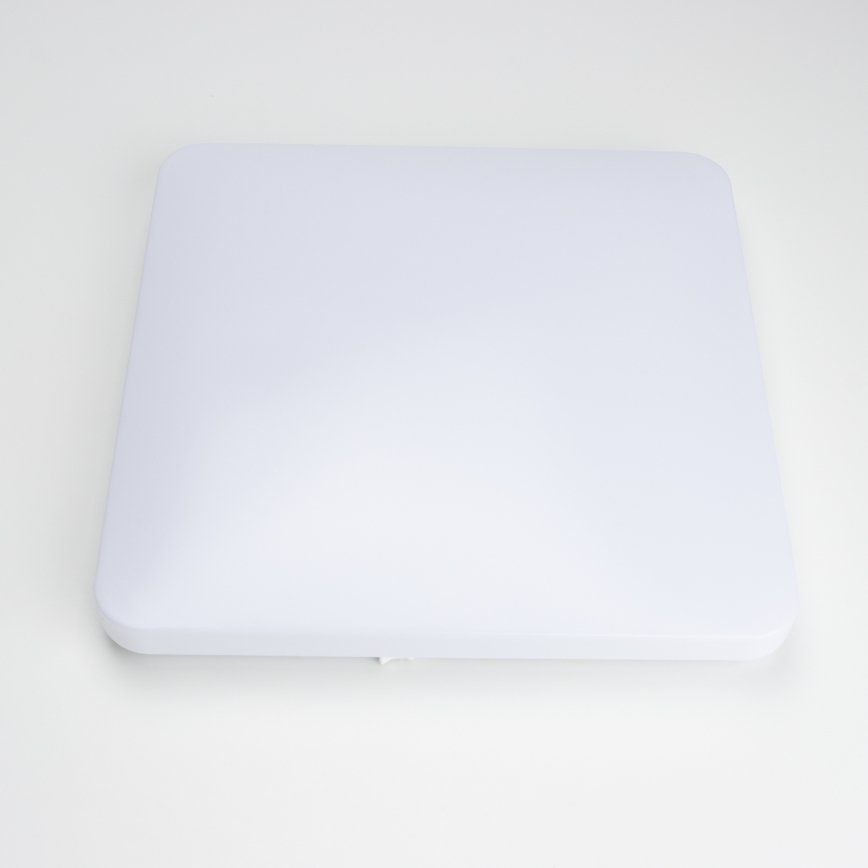 Brilagi - Plafoniera LED PLAIN LED/24W/230V 3000K