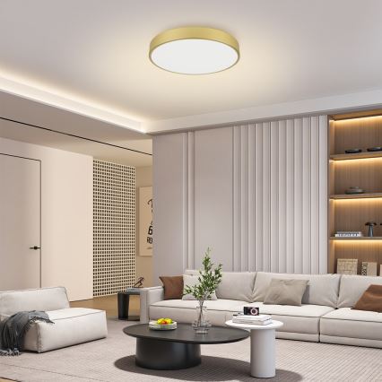 Brilagi - Plafoniera LED POOL 60W/230V 3000/4500/6000K Ø 60 cm dorata