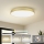Brilagi - Plafoniera LED POOL LED/128W/230V 3000/4000/6000K Ø 100 cm dorata