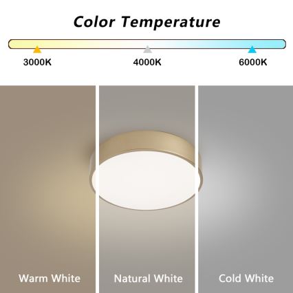 Brilagi - Plafoniera LED POOL LED/24W/230V 3000/4000/6000K Ø 20 cm oro