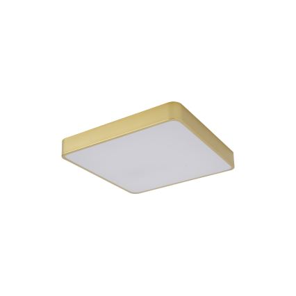 Brilagi - Plafoniera LED POOL LED/36W/230V 3000/4000/6000K 40x40 cm dorata
