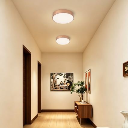 Brilagi - plafoniera LED POOL/36W/230V 3000/4000/6000K Ø 30 cm bronzo