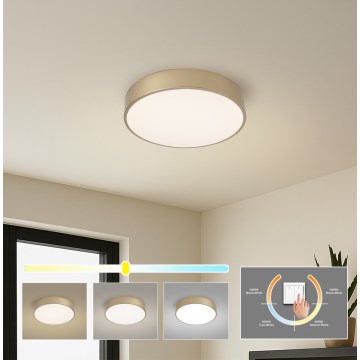 Brilagi - Plafoniera LED POOL LED/36W/230V 3000/4000/6000K Ø 30 cm dorata