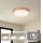 Brilagi - Plafoniera LED POOL LED/48W/230V 3000/4000/6000K Ø 40 cm bronzo