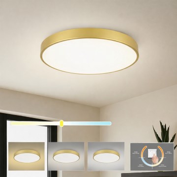 Brilagi - Plafoniera LED POOL LED/60W/230V 3000/4000/6000K diam. 60 cm dorata