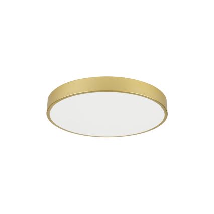 Brilagi - Plafoniera LED POOL LED/60W/230V 3000/4000/6000K diam. 60 cm dorata