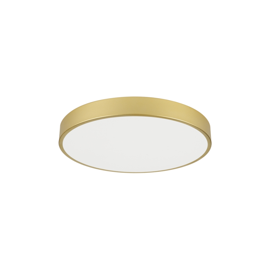 Brilagi - Plafoniera LED POOL LED/60W/230V 3000/4000/6000K diam. 60 cm dorata