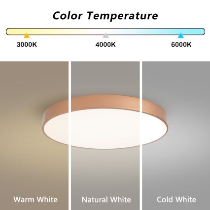 Brilagi - Plafoniera LED POOL LED/60W/230V 3000/4000/6000K Ø 60 cm colore bronzo