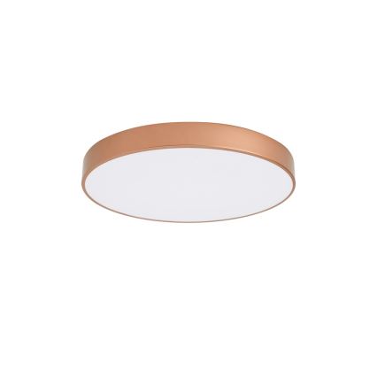 Brilagi - Plafoniera LED POOL LED/60W/230V 3000/4000/6000K Ø 60 cm colore bronzo