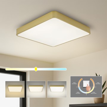 Brilagi - Plafoniera LED POOL SQUARE LED/36W/230V 3000/4000/6000K 40x40 cm dorata