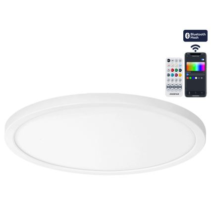 Brilagi - VIBE Lampada da soffitto dimmerabile LED RGBW LED/24W/230V 3000-6500K Ø 26 cm bianco + telecomando