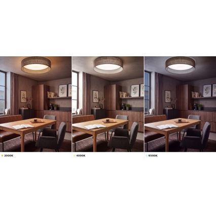 Brilagi - Plafoniera LED VELVET VARI LED/24W/230V 3000/4000/6500K Ø 45 cm marrone
