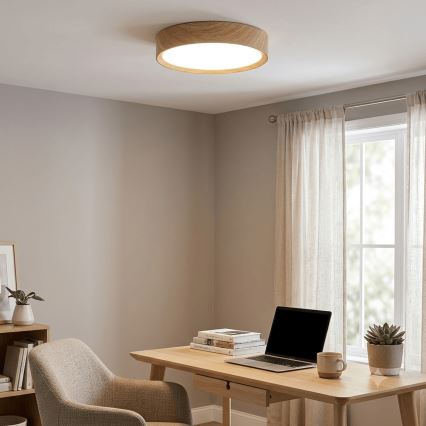 Brilagi - plafoniera NATURA LED/12W/230V 3000K Ø 26,3 cm