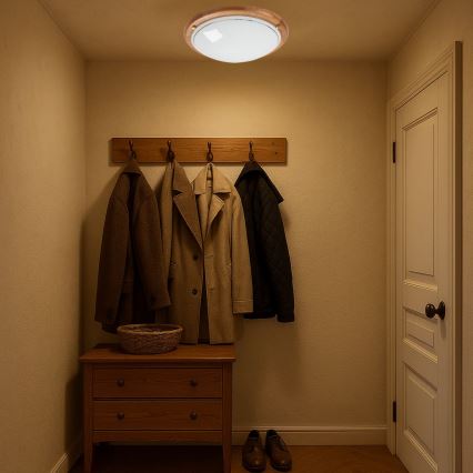 Brilagi - Plafoniera ORBIS 2x E27/60W/230V Ø 38 cm pino