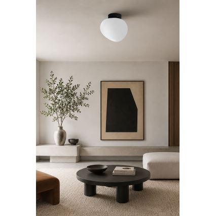 BRILAGI - Plafoniera PEBBLES 1xE27/40W/230V Ø 20 cm nera
