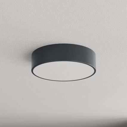 Brilagi - Plafoniera per bagno CLARE 2xE27/24W/230V Ø 30 cm antracite IP54