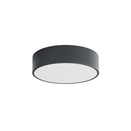 Brilagi - Plafoniera per bagno CLARE 2xE27/24W/230V Ø 30 cm antracite IP54