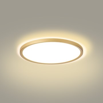 Brilagi - Plafoniera per bagno LED ULTRA SLIM 18W/230V Ø 30 cm dorata IP54