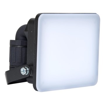 Brilagi - Riflettore LED ELARA PRO LED/10W/230V IP65