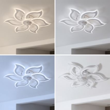 Brilagi - Ventilatore da soffitto dimmerabile LED/34W/230V ø 83 cm bianco + telecomando