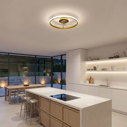Brilagi - Ventilatore da soffitto dimmerabile LED/66W/230V 55 cm bianco/oro + telecomando