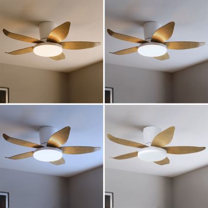 Brilagi - Ventilatore da soffitto LED dimmerabile LED/32W/230V 3000-6500K Ø 95 cm bianco/marrone + telecomando