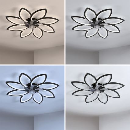 Brilagi - Ventilatore da soffitto dimmerabile con LED, 43W/230V, Ø 90 cm, nero + telecomando