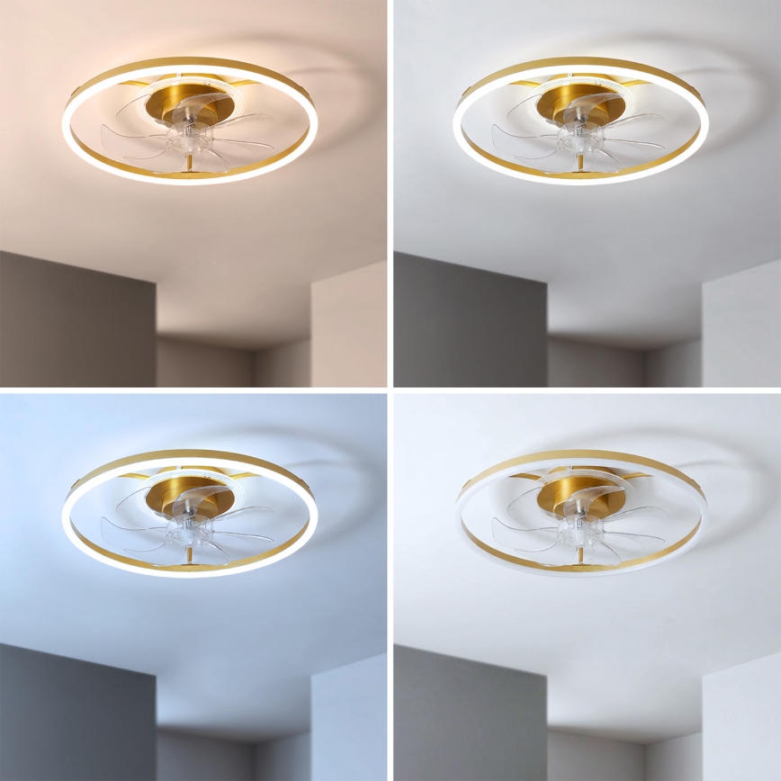 Brilagi - Ventilatore da soffitto dimmerabile a LED LED/66W/230V 55 cm bianco/oro + telecomando
