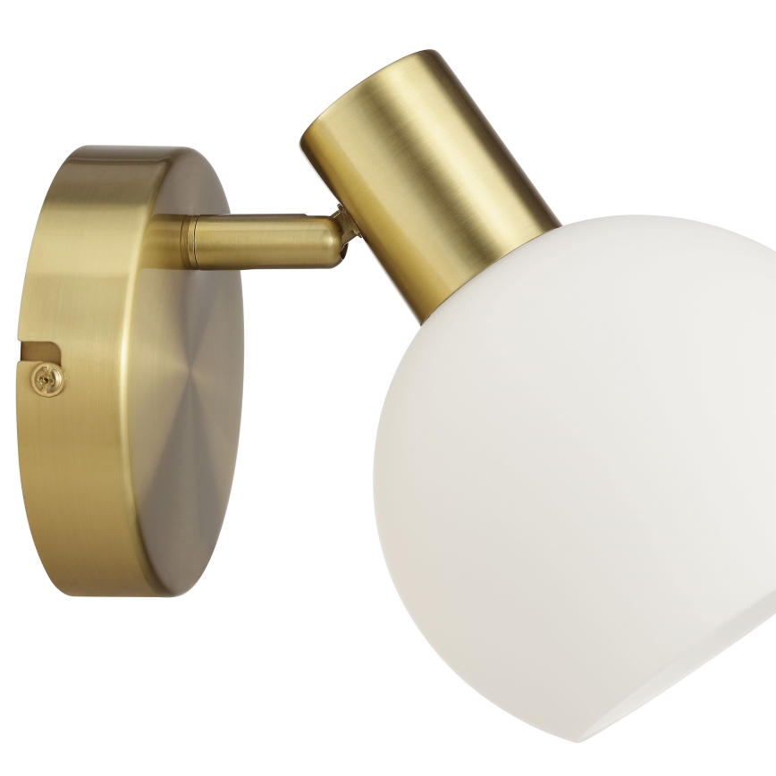 Brilliant - Applique a spot da parete CONY 1xE14/20W/230V ottone