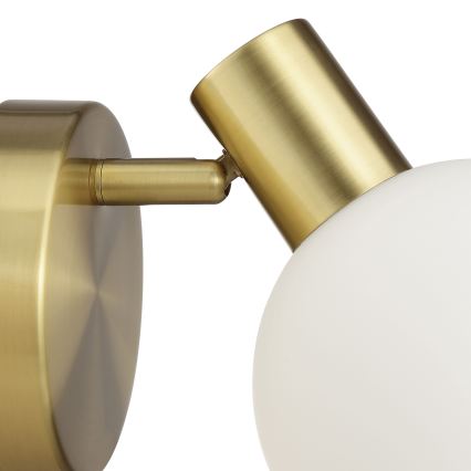 Brilliant - Applique a spot da parete CONY 1xE14/20W/230V ottone
