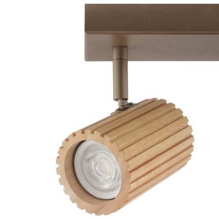 Brilliant - Faretto LAKEWOOD 2x GU10/10W/230V marrone