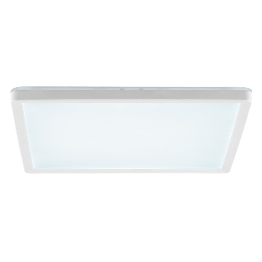 Plafoniera dimmerabile a LED LUMARO LED/18W/230V 3000-6500K 29,3x29,3 cm bianca + telecomando
