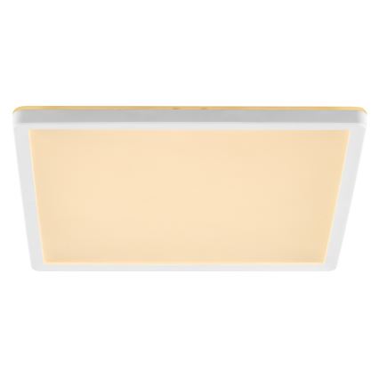 Plafoniera dimmerabile a LED LUMARO LED/18W/230V 3000-6500K 29,3x29,3 cm bianca + telecomando