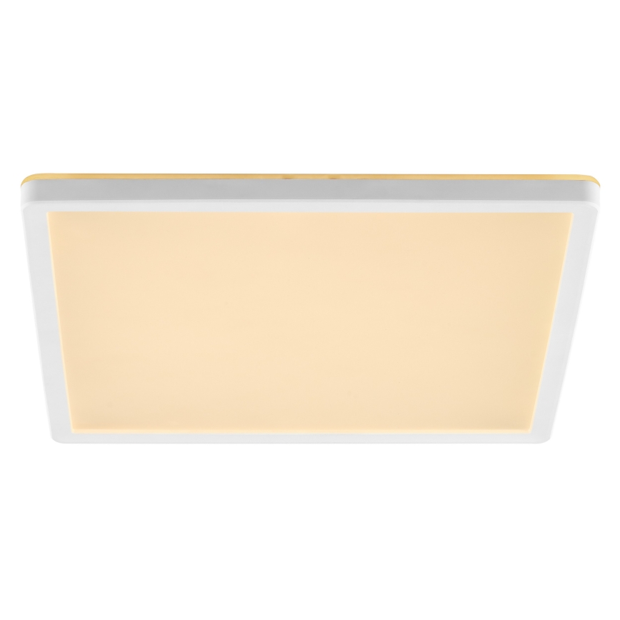 Plafoniera dimmerabile a LED LUMARO LED/18W/230V 3000-6500K 29,3x29,3 cm bianca + telecomando