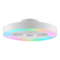 Brilliant - Lampada da soffitto LED RGBW dimmerabile con ventilatore CATANIA LED/37W/230V 2700-6500K Ø 48,6 cm bianca + telecomando