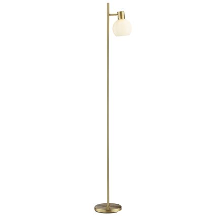 Brilliant - Lampada da terra CONY 1xE14/20W/230V ottone