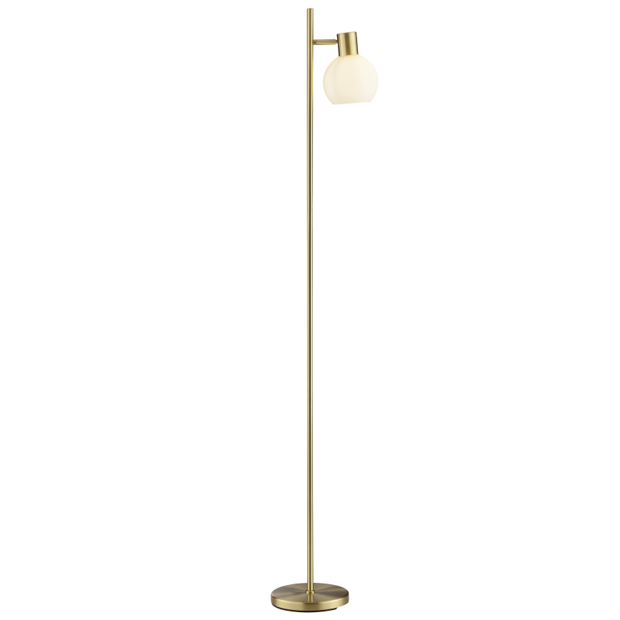 Brilliant - Lampada da terra CONY 1xE14/20W/230V ottone