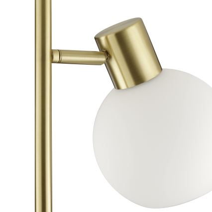 Brilliant - Lampada da terra CONY 1xE14/20W/230V ottone