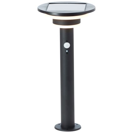 Brilliant - Lampada solare LED con sensore GARVINA LED/3W/3,7V 45 cm IP44 nero