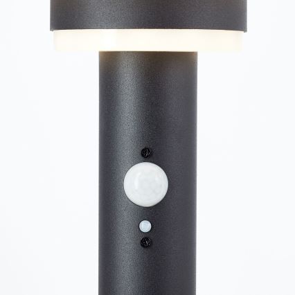 Brilliant - Lampada solare LED con sensore GARVINA LED/3W/3,7V 45 cm IP44 nero