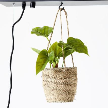 Brilliant - Lampadario a sospensione con cavo BANKWOOD 5xE27/28W/230V