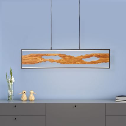 Brilliant - Lampadario LED a sospensione con filo CHAUMONT LED/20W/230V pino