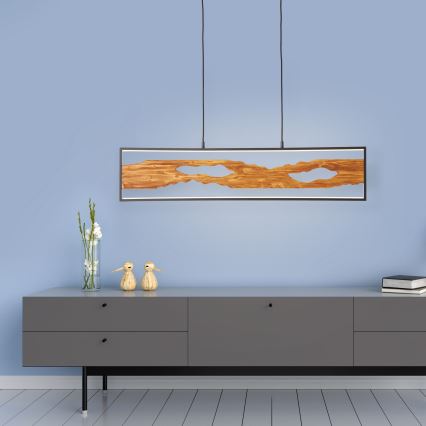 Brilliant - Lampadario LED a sospensione con filo CHAUMONT LED/20W/230V pino